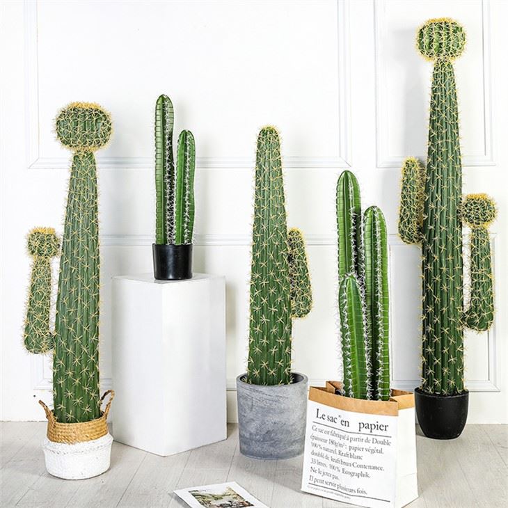 Cereus faux biljka kaktusa u saksiji